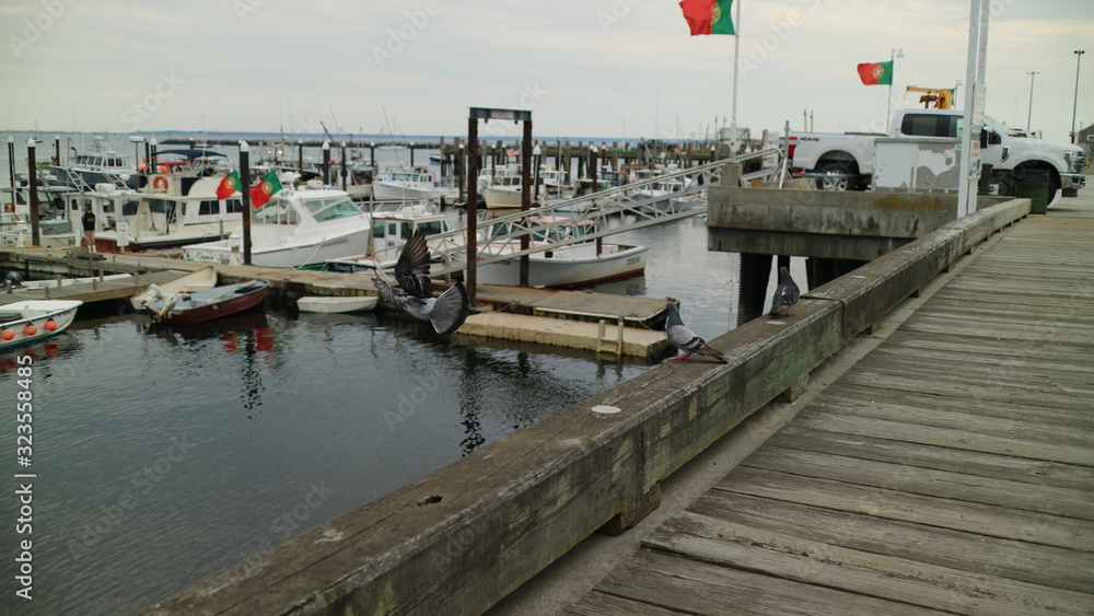 Fototapeta premium dock