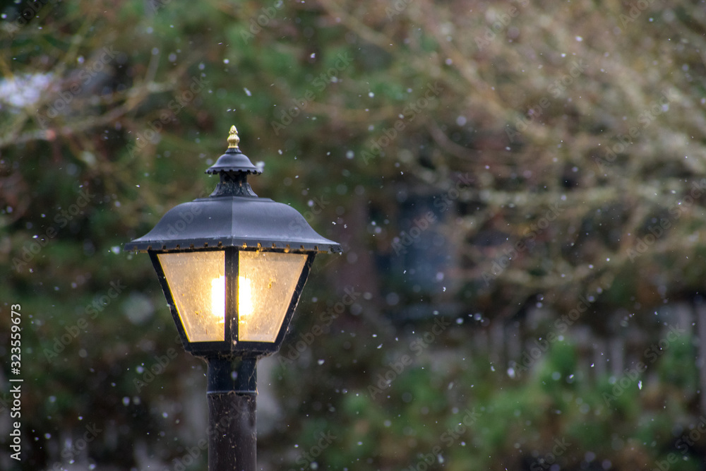 Snowflakes and a Lamp