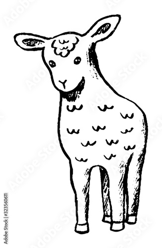 Simple vector hand drawn illustration. Cute little sheep. Contour drawing isolated on a white background. Graphic doodles  sketching. Primitive style pictures for design  prints  cards  posters etc.