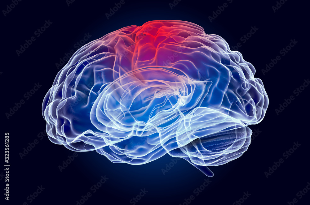 Brain, disease of parietal lobe concept. 3D rendering Brain, disease of parietal lobe concept. 3D rendering