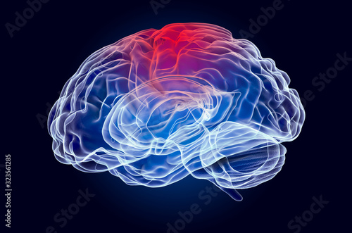 Fototapeta Naklejka Na Ścianę i Meble -  Brain, disease of parietal lobe concept. 3D rendering