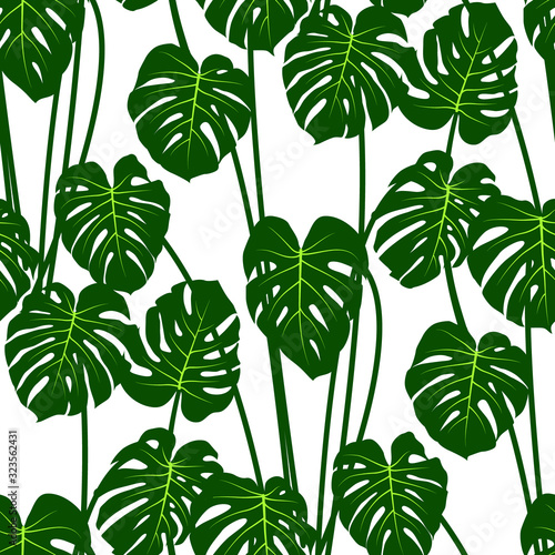 Jungle tropical pattern with monstera leaves bohemian decor