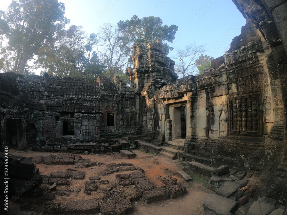 wide angle picture of temple ruins of angkor wat, cambodia with tree ontop