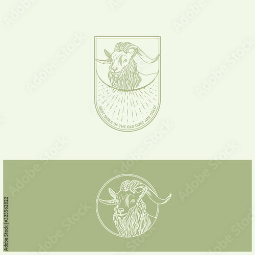 Hand drawn vector illustration of goat that will fit for logo, identity, or prints. (ID: 323562822)