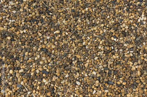 Gravel texture background in garden