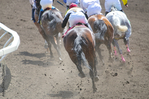 Slika na platnu Horse Racing Action At The Track