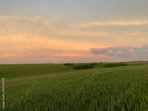 sunset over green field © LaVerne
