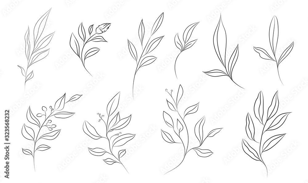 Hand drawn floral illustration. Branches on white background. Perfect for pattern, logo, scrapbooking, textile design, fabric, wallpaper, wrapping paper. Hand drawn floral illustration. Branches on white background. Perfect for pattern, logo, scrapbooking, textile design, fabric, wallpaper, wrapping paper.