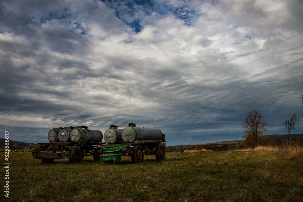 Fototapeta premium cattle watering place