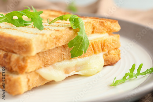 Tasty sandwiches with cheese on plate, closeup