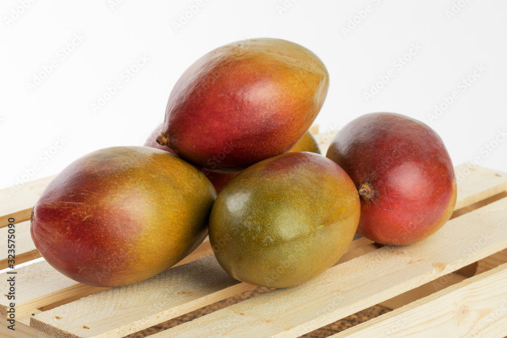 natural looking ripe Palmer mangoes isolated on white