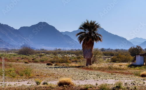 Mountains covered morning fog in the Arizona, USA