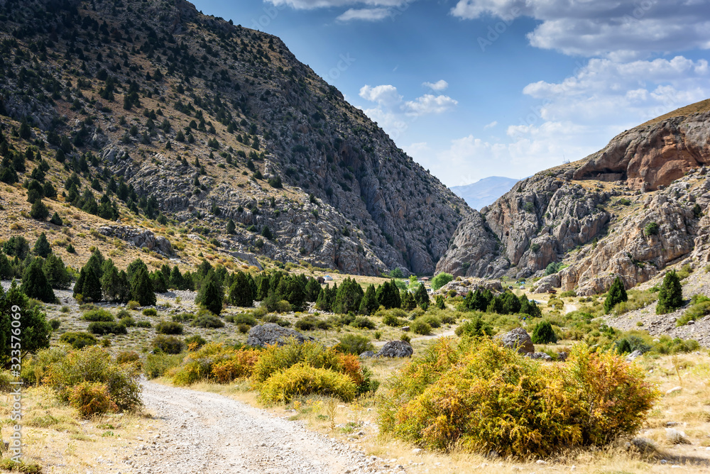 Mountain landscape with trees in the Turkish national Park aladag in summer day