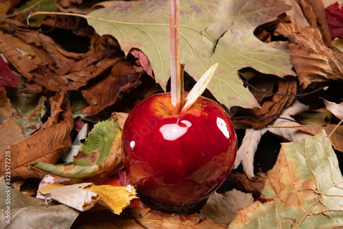 Fotografie Delicious love apple: apple covered with red caramel, on a wooden stick, placed