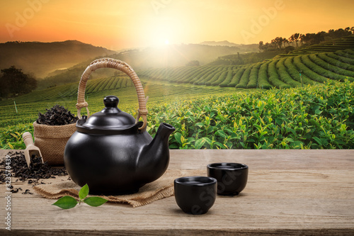 Cup of hot tea with teapot, green tea leaves and dried herbs on the wooden table in plantations background with empty space, Organic product from the nature for healthy with traditional
