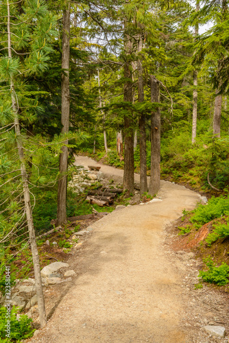 Fragment of Panorama Trail in Sea to Sky Gondola Park in Vancouver, Canada.