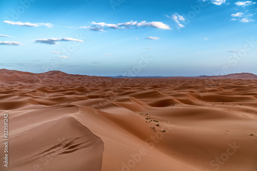 Fototapeta Naklejka Na Ścianę i Meble -  Sahara desert