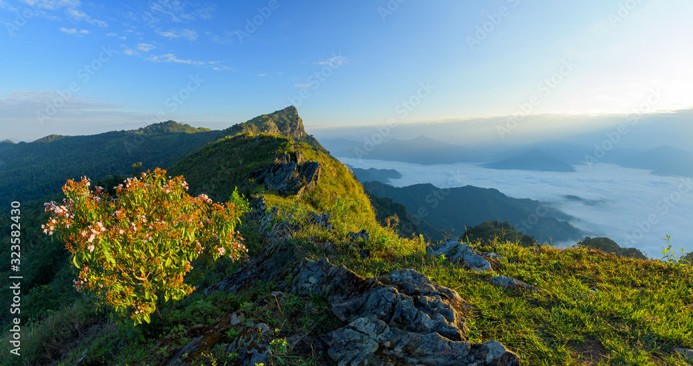 Panoramic of mountain top view of sunrise landscape in the rainforest, Thailand.