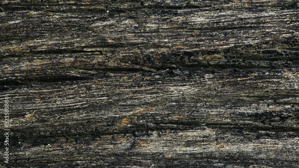Old wood texture with cracks Old wood texture with cracks