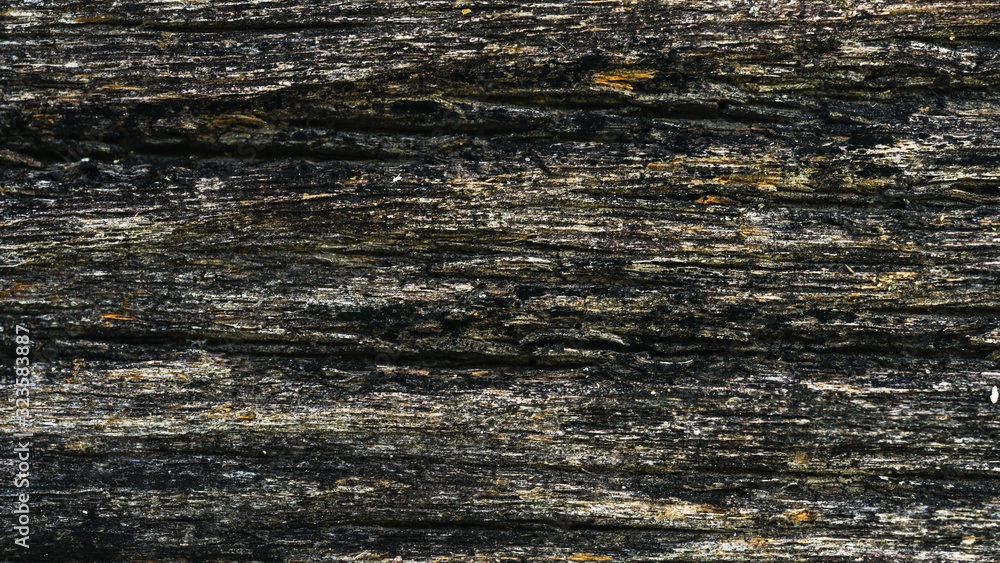 Fototapeta premium Natural dark brown wood texture