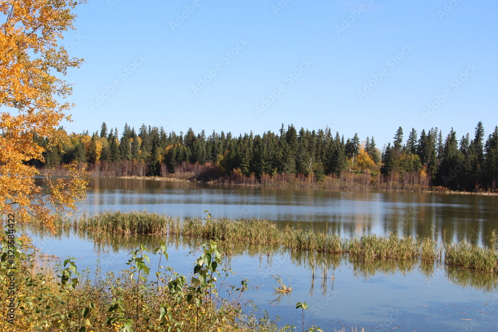 Autumn On Astotin Lake, Elk Island National Park, Alberta