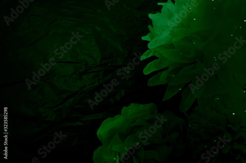 Beautiful abstract color white and green flowers graphic on black background and black flower frame and green leaves texture, green background, colorful graphics banner happy valentine