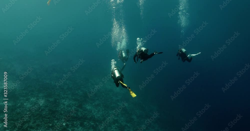 Scuba divers swimming underwater in the Pacific Ocean. Perfect diving for leisure and holidays in clear blue water Scuba divers swimming underwater in the Pacific Ocean. Perfect diving for leisure and holidays in clear blue water