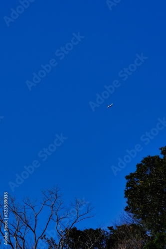 airplane fly over forest
