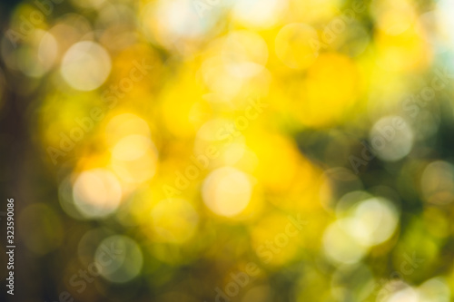 Yellow-green blur in the forest