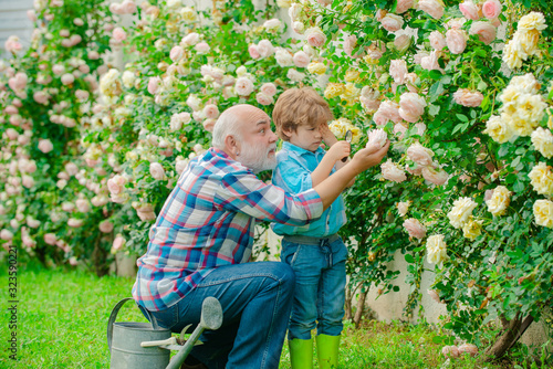 Grandfather and grandson. Old and Young. Concept of a retirement age. I love our moments in the countryside - remember time. Little helper in garden.