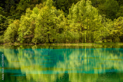 lake in the forest in Jiuzhaigou, China.