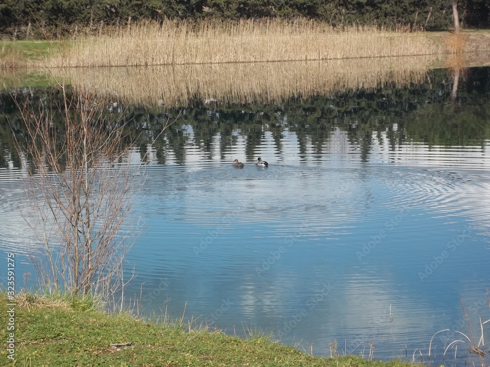 Lac Lac
