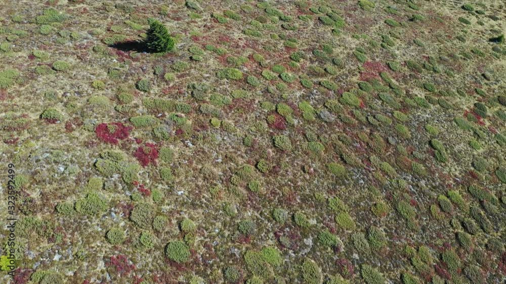 Sass de Putia, Passo delle Erbe plateau, Alta Badia, Sud Tirol, Italy. Aerial of Sass de Putia in the Italian Dolomites, Italy. 