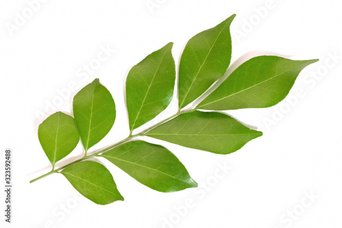 Green leaf isolated on white background © suthisak