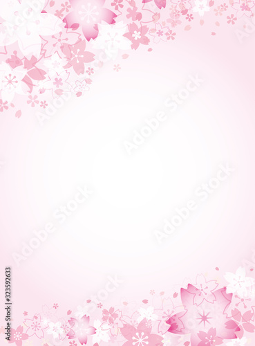 ピンクの桜の花の背景フレーム　ベクターイラスト