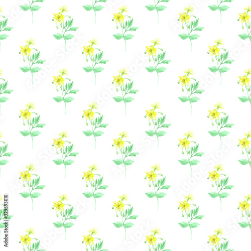 Watercolor pattern of celandine wildflowers. Perfect for web sites, as digital wallpaper, also in scrapbooking, textiles, souvenir and printing design, as well as other creative fields.