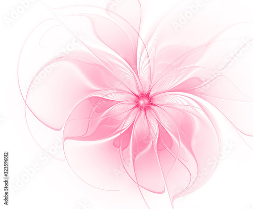 Beautiful fractal pink flower close-up white background