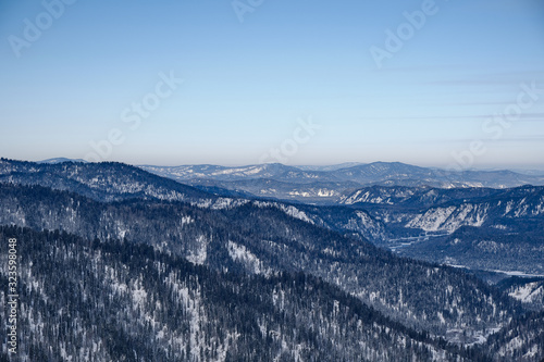 Fototapeta Naklejka Na Ścianę i Meble -  Winter mountain landscape.Snow mountains overgrown with taiga against a blue sky. Russia. Altai Republic.