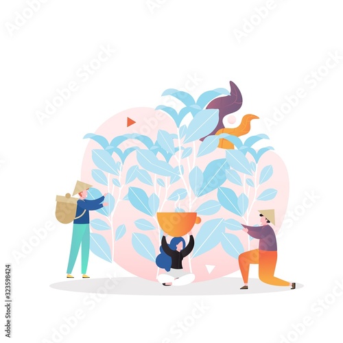 Tea harvesting vector concept for web banner, website page