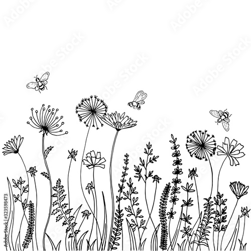 Black silhouettes of grass, spikes and herbs isolated on white background. Hand drawn sketch flowers and bees.