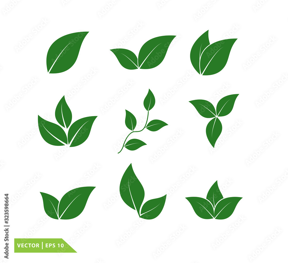 Leaf icon vector logo design template Leaf icon vector logo design template