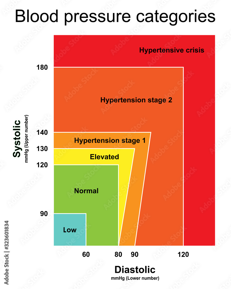 Blood pressure categories infographic chart isolated on white ...