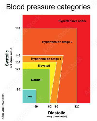 Blood pressure categories infographic chart isolated on white background.Stage of hypertension disease.Concept for medical health care.Vector.Illustration.