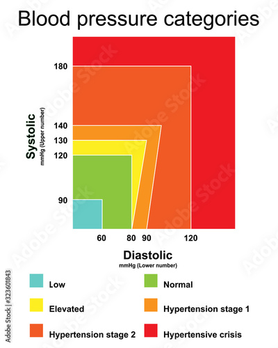 Blood pressure categories infographic chart isolated on white background.Stage of hypertension disease.Concept for medical health care.Vector.Illustration.