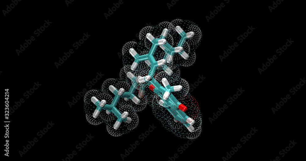 Vitamin K1, Phylloquinone Vitamin K1, Phylloquinone