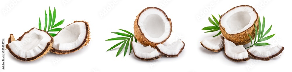 coconut with leaves isolated on white background. Set or collection - obrazy, fototapety, plakaty 