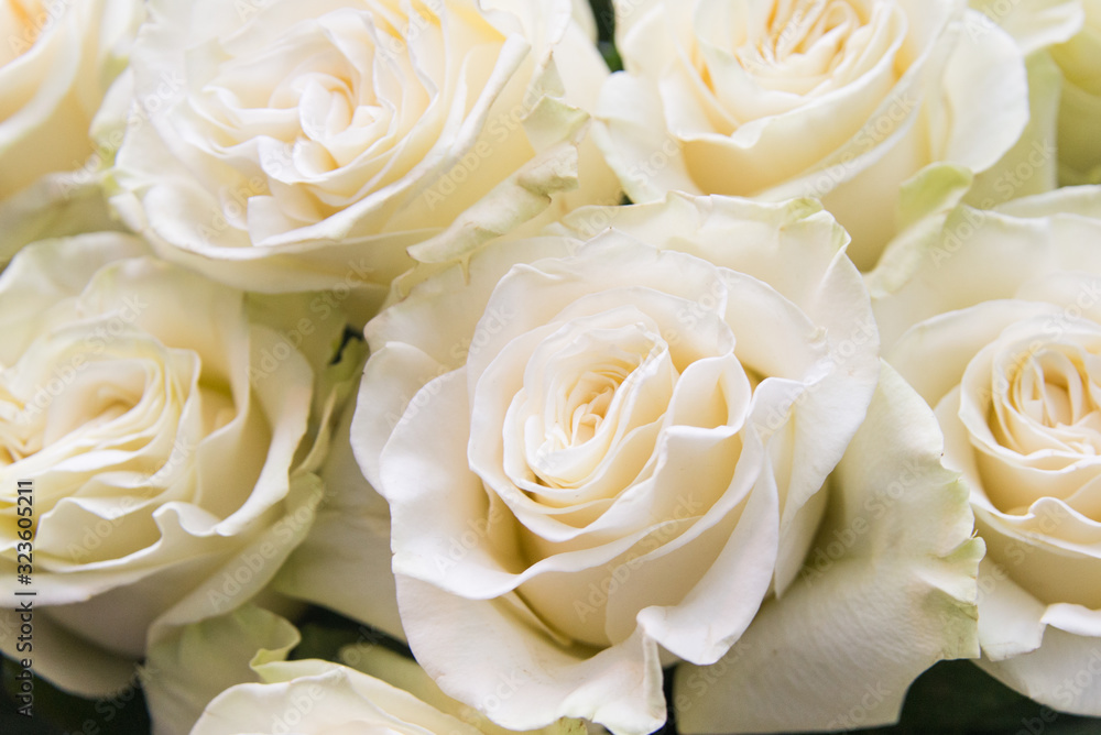 Flowers for women, Festive bouquet Flowers for women, Festive bouquet