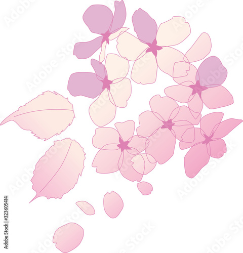 桜の花のパーツイラスト