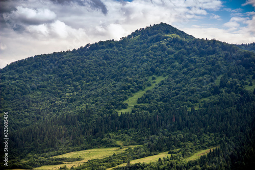Fototapeta Naklejka Na Ścianę i Meble -  Carpathian forest landscape