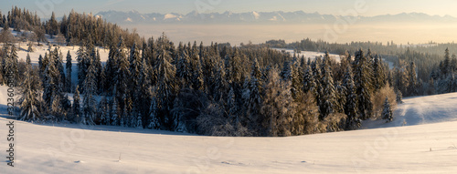 A beautiful winter landscape with snowy mountains in the background in the warm light of the setting sun